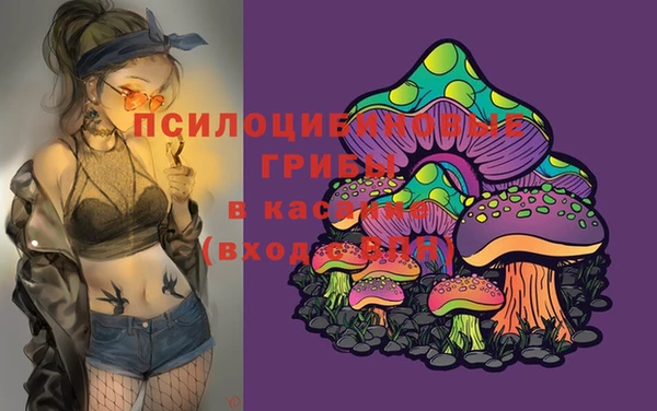 таблы Белокуриха